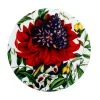 Royal Botanic Gardens Euphemia Henderson Ceramic Round Coaster 9.5cm Waratah