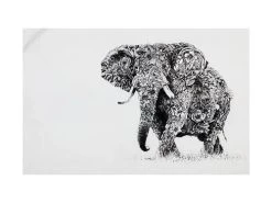 Marini Ferlazzo Tea Towel 50x70cm African Elephant
