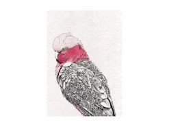 Marini Ferlazzo Birds Tea Towel 50x70cm Galah