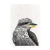 Marini Ferlazzo Birds Tea Towel 50x70cm Laughing Kookaburra
