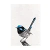 Marini Ferlazzo Birds Tea Towel 50x70cm Superb Fairy-wren