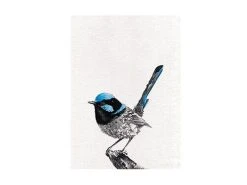 Marini Ferlazzo Birds Tea Towel 50x70cm Superb Fairy-wren