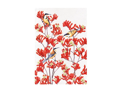 Royal Botanic Gardens Victoria Garden Friends Tea Towel 50x70cm Spinebill 1 Royal Botanic Gardens Victoria Garden Friends Tea Towel 50x70cm Spinebill