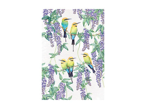 Royal Botanic Gardens Victoria Garden Friends Tea Towel 50x70cm Rainbow Bee-eater 1 Royal Botanic Gardens Victoria Garden Friends Tea Towel 50x70cm Rainbow Bee-eater
