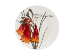 Royal Botanic Gardens Australian Botanics Breakfast Cup & Saucer 450ML Christmas Bells Gift Boxed -White Basics Store jy0073 sp2