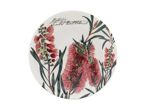Royal Botanic Gardens Australian Botanics Breakfast Cup & Saucer 450ML Bottlebrush Gift Boxed 3 Royal Botanic Gardens Australian Botanics Breakfast Cup & Saucer 450ML Bottlebrush Gift Boxed - Image 3