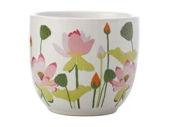 Royal Botanic Gardens Victoria Lotus Planter Pot 12cm White -White Basics Store kp0007 2