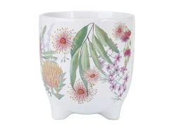 Royal Botanic Gardens Native Blooms Plant Pot 12cm