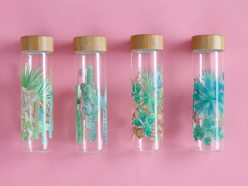 Royal Botanic Garden Arid Garden Glass Water Bottle 550ML Dracaena 2 Royal Botanic Garden Arid Garden Glass Water Bottle 550ML Dracaena - Image 2